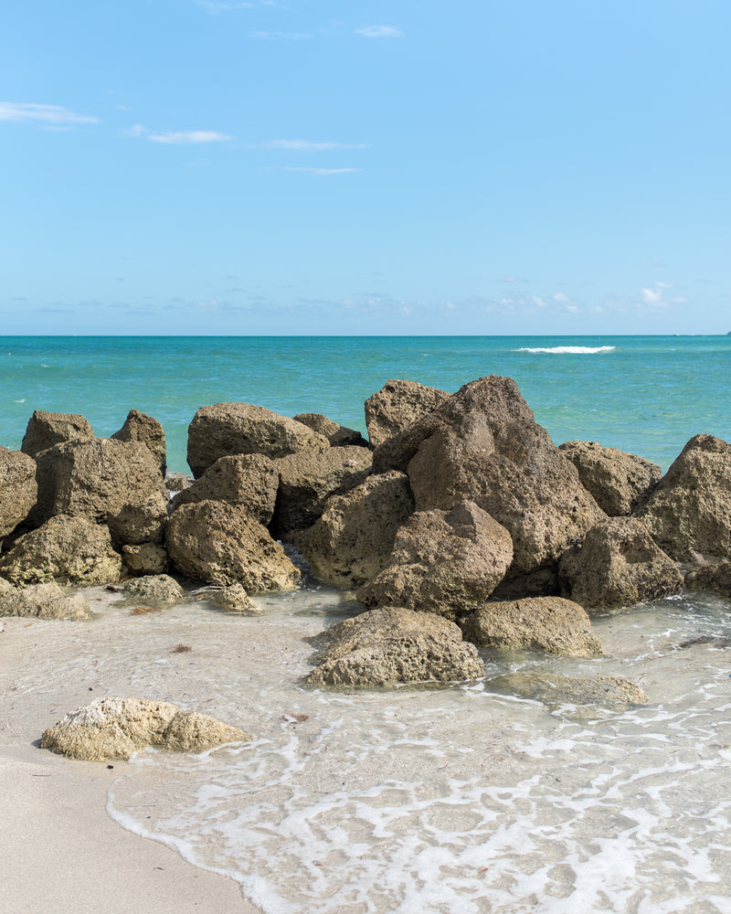 Zen Coast 02
