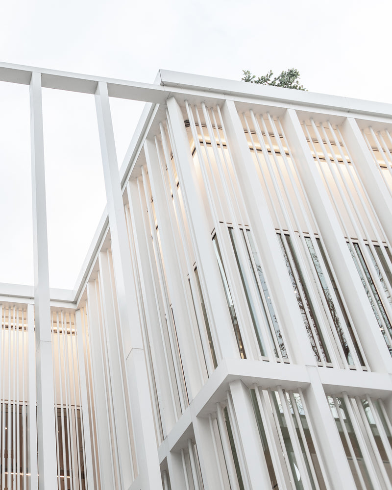 Architectural Lines 01