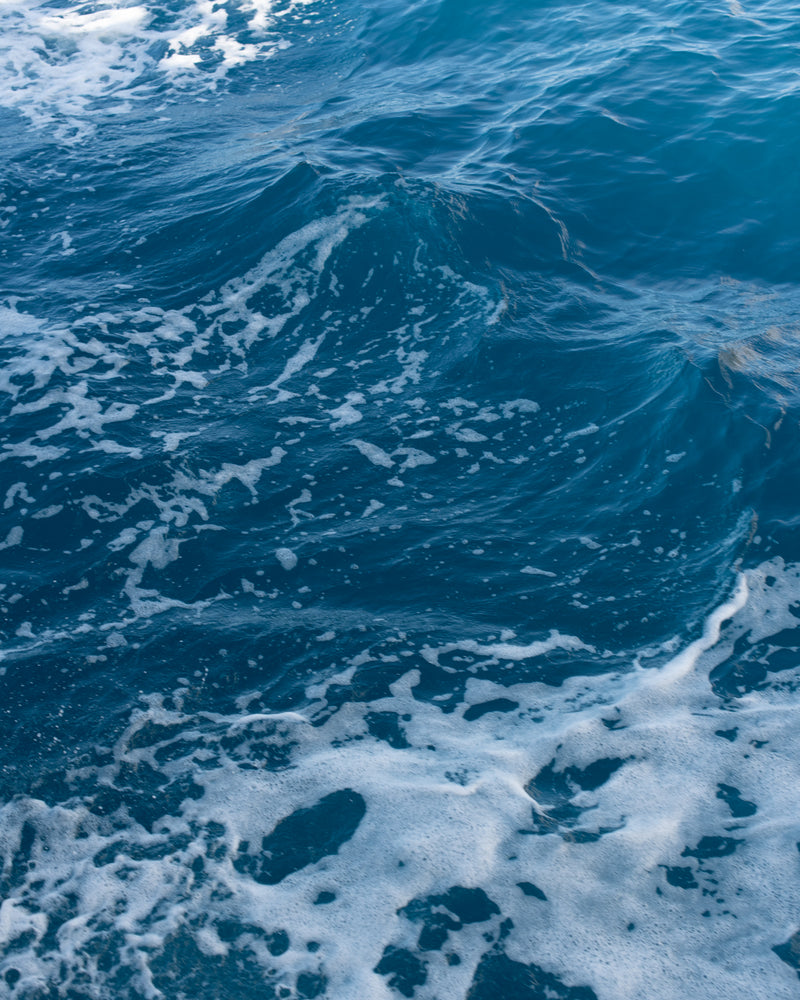 Sea of Blues 01