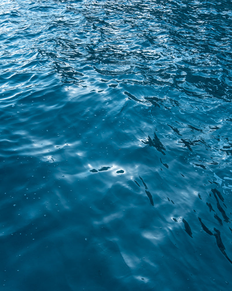 Sea of Blues 04